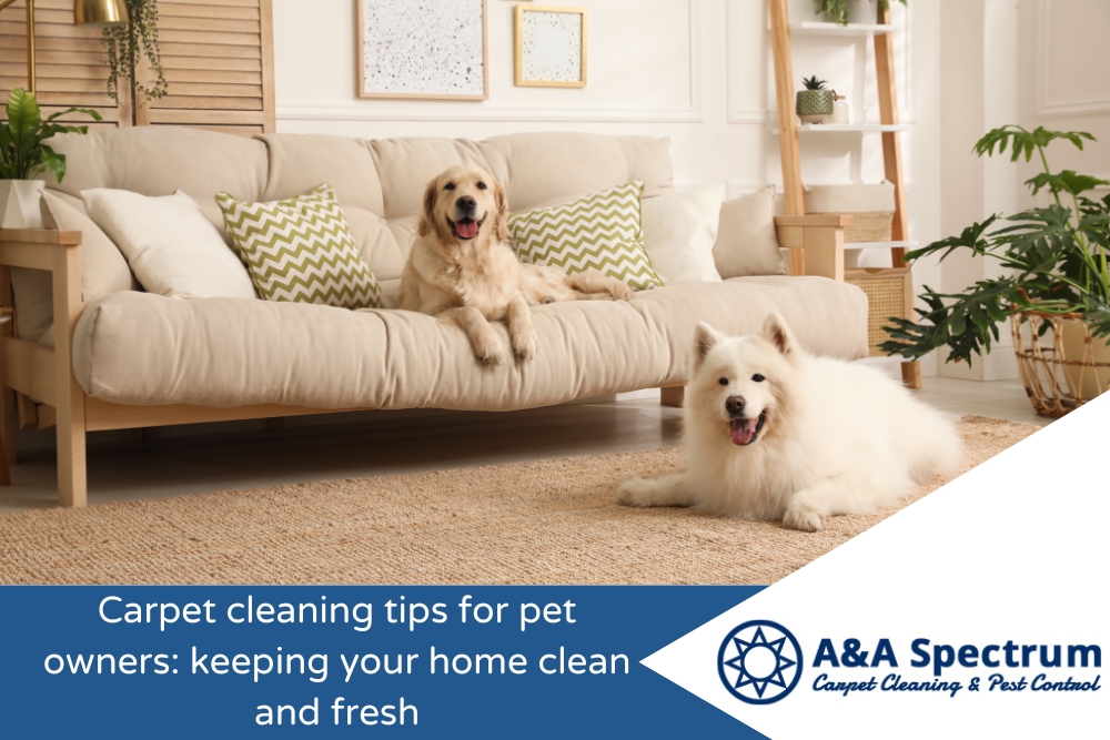 Carpet cleaning tips for pet owners_ keeping your home clean and fresh