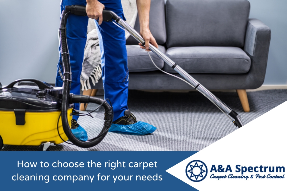 How to choose the right carpet cleaning company for your needs