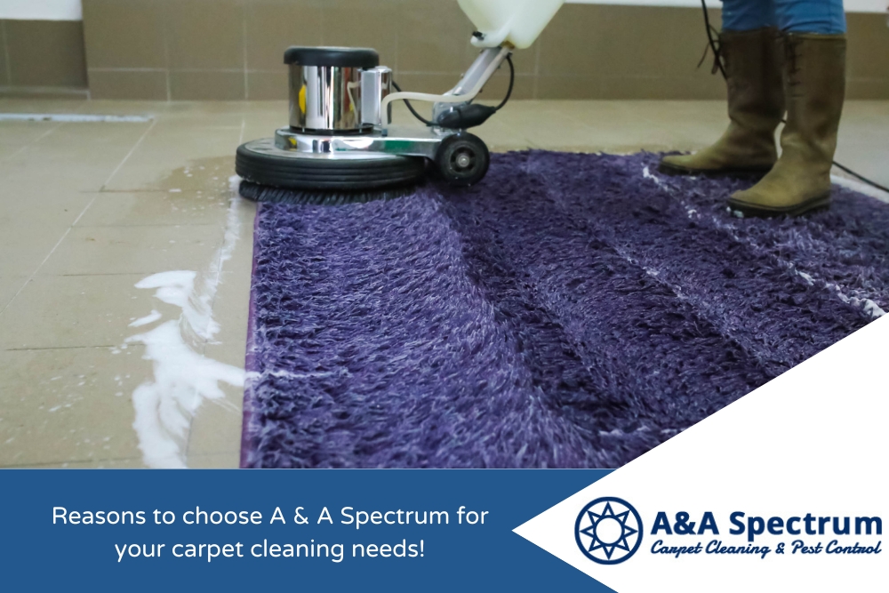 Reasons to choose A & A Spectrum for your carpet cleaning needs!