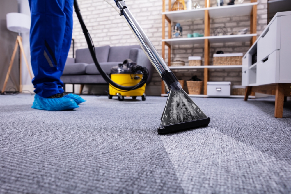 Process of professional carpet cleaning