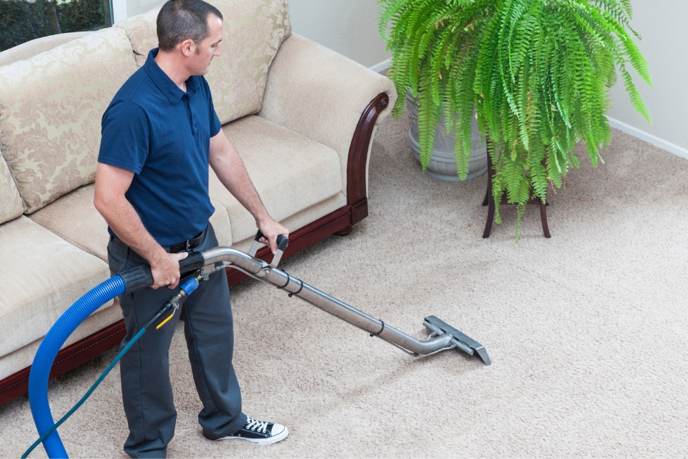 Carpet Cleaning vs. DIY: Which is More Effective? - carpet cleaning